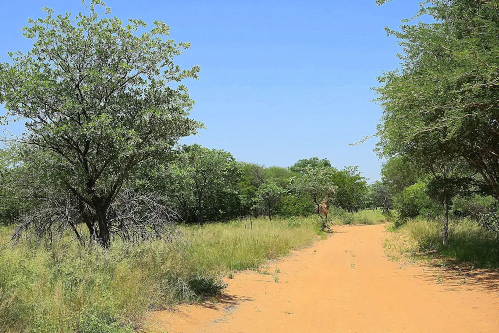 Vacant land for sale in Steenbokpan - 1ER1647470 Vacant land for sale in Steenbokpan - 1ER1647470