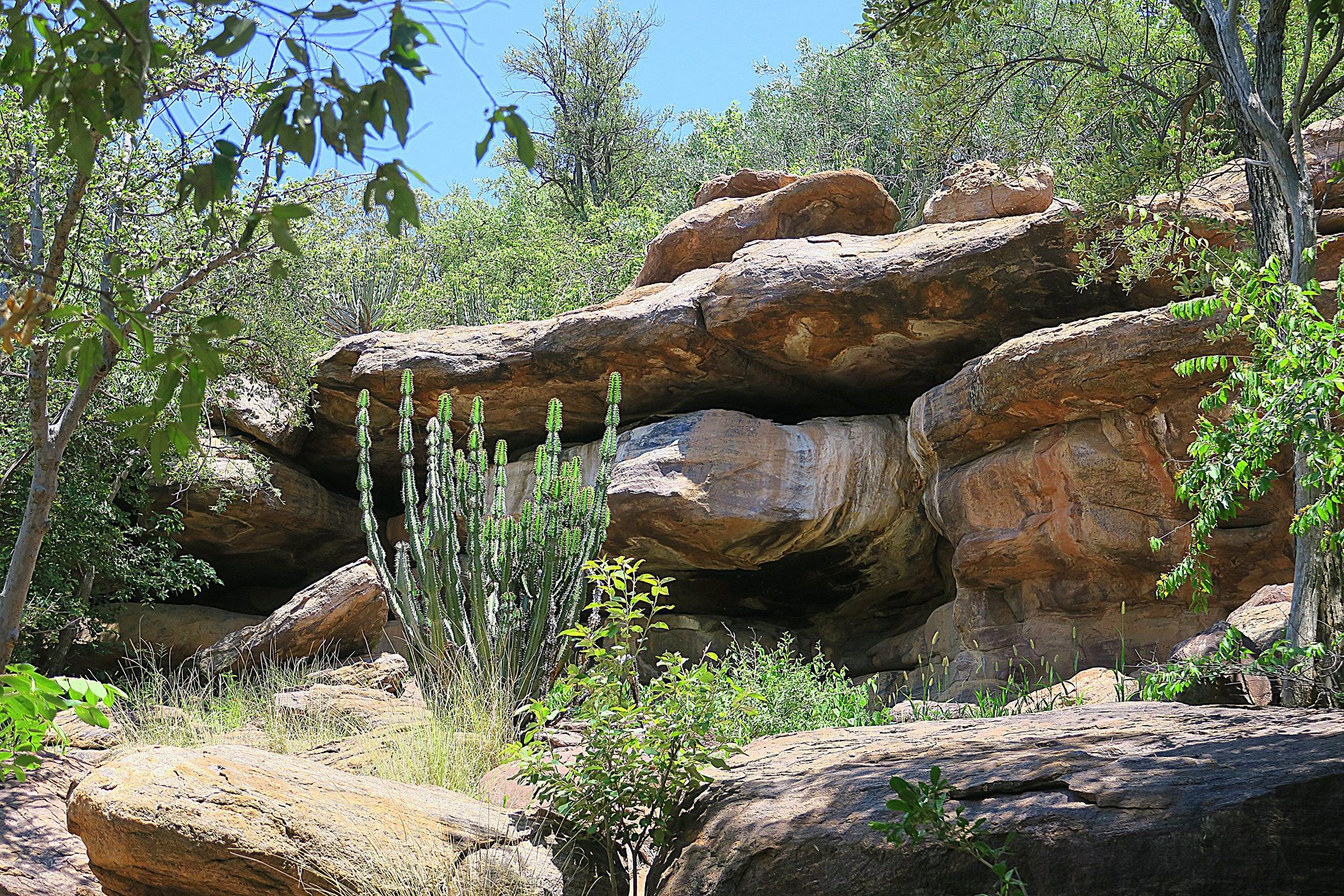 Vacant land for sale in Steenbokpan - 1ER1647470