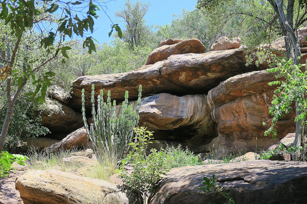 Vacant land for sale in Steenbokpan - 1ER1647470