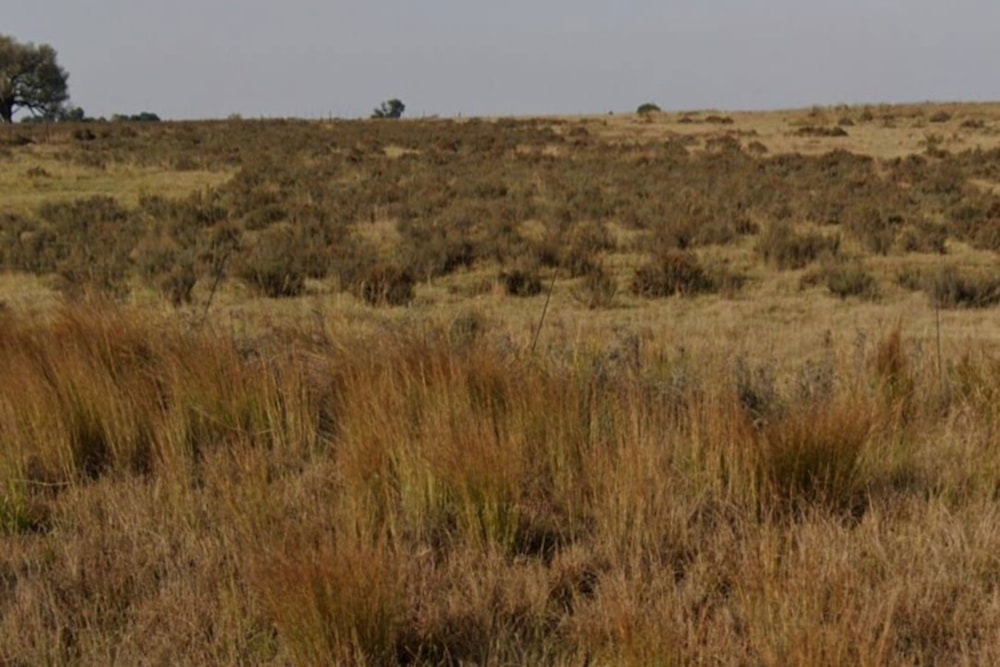 Vacant land for sale in Witbank Rural (eMalahleni Rural)  - 1WD1647653