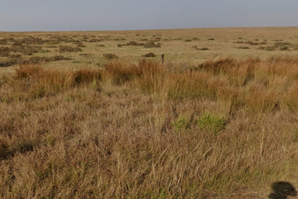 Vacant land for sale in Witbank Rural (eMalahleni Rural)  - 1WD1647653