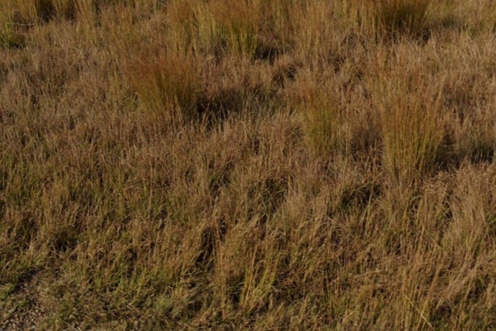 Vacant land for sale in Witbank Rural (eMalahleni Rural)  - 1WD1647653