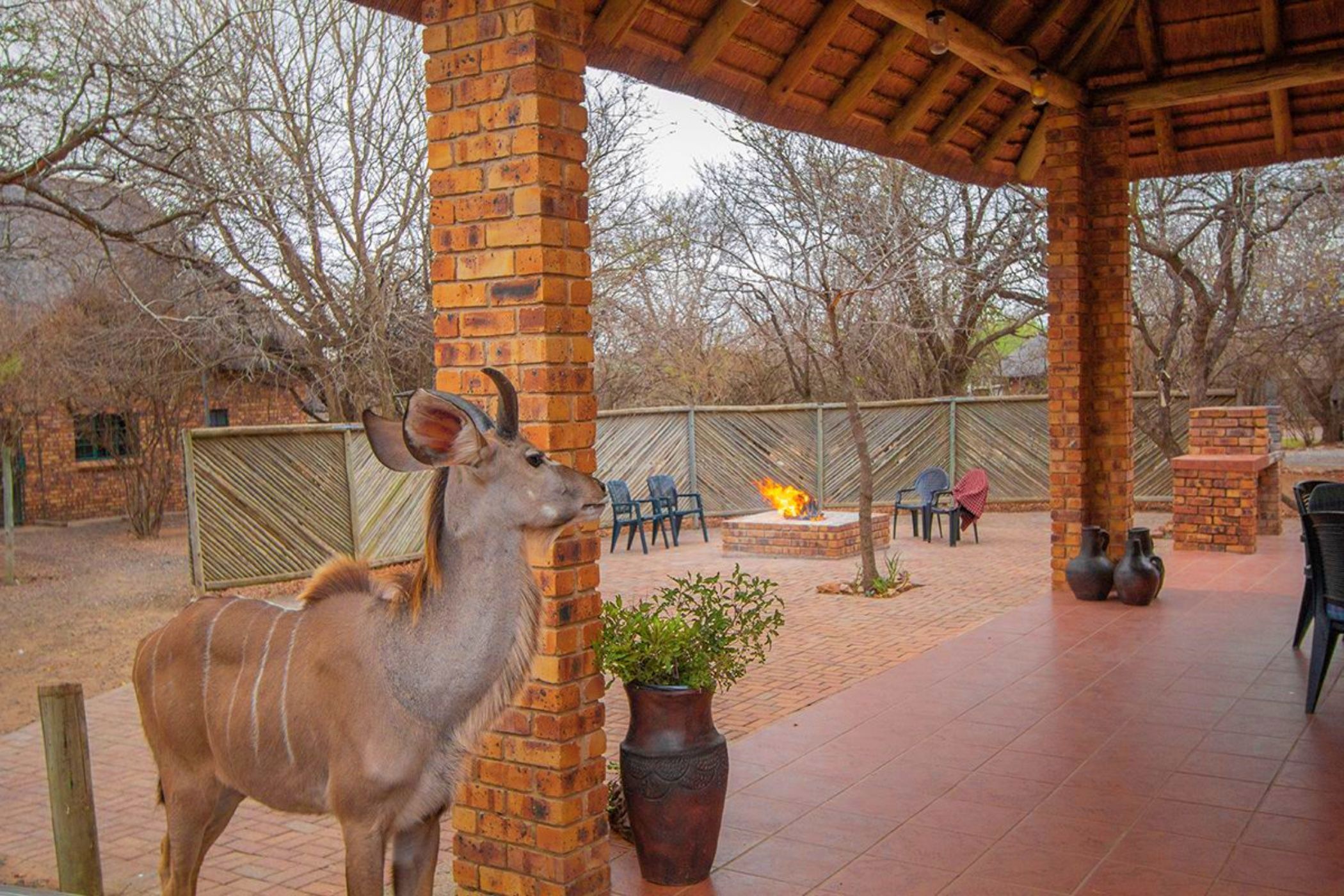 House for sale in Marloth Park - 1NK1648176