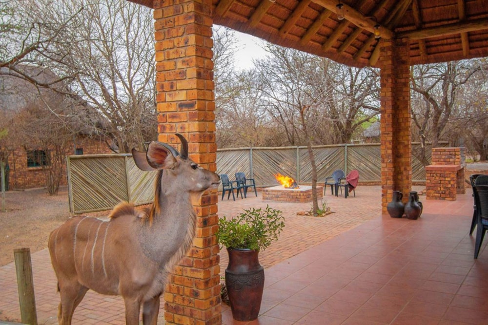 House for sale in Marloth Park - 1NK1648176 House for sale in Marloth Park - 1NK1648176