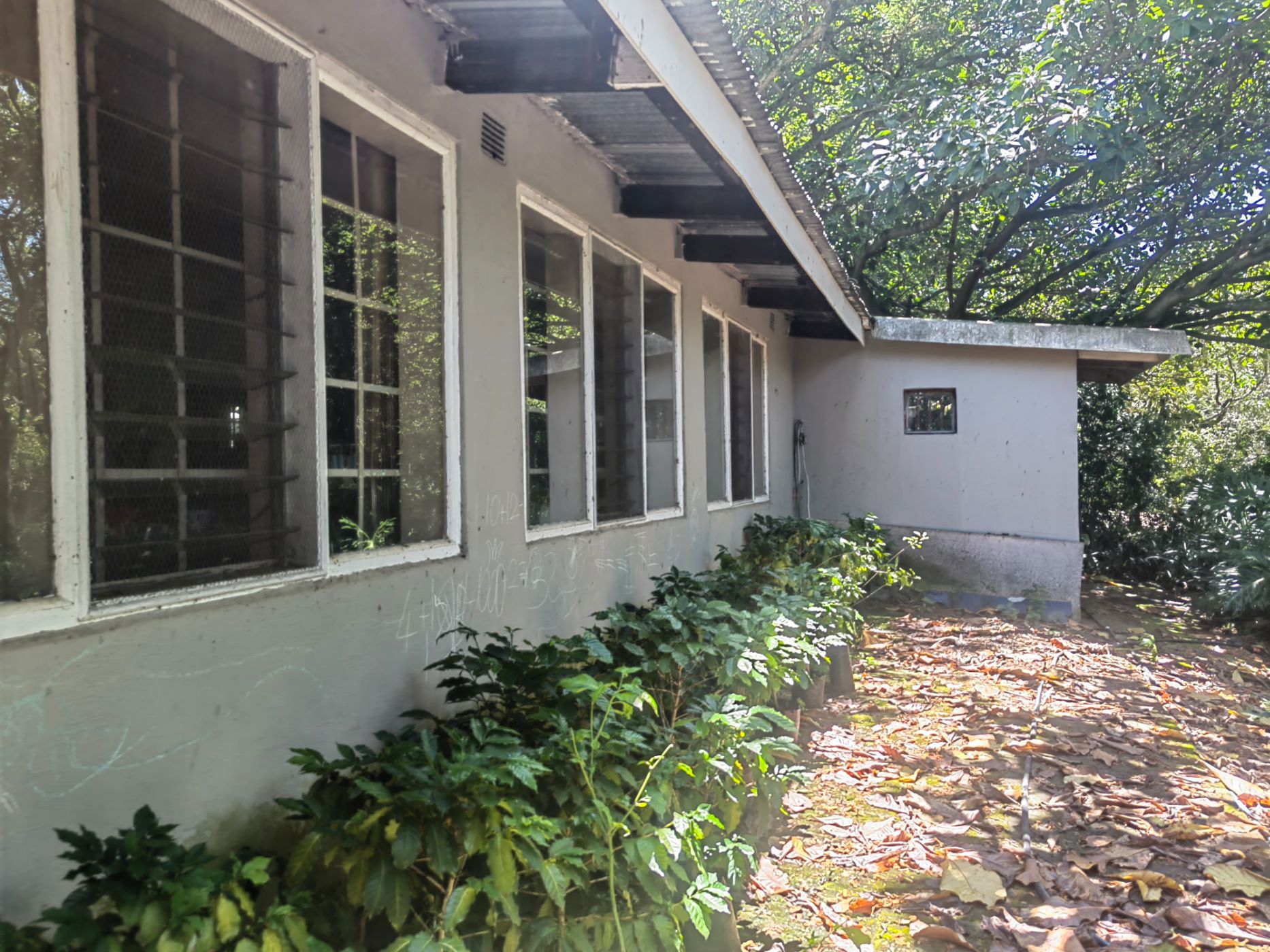 Smallholding for sale in Mbombela Rural (Nelspruit Rural) - 1NS1647991