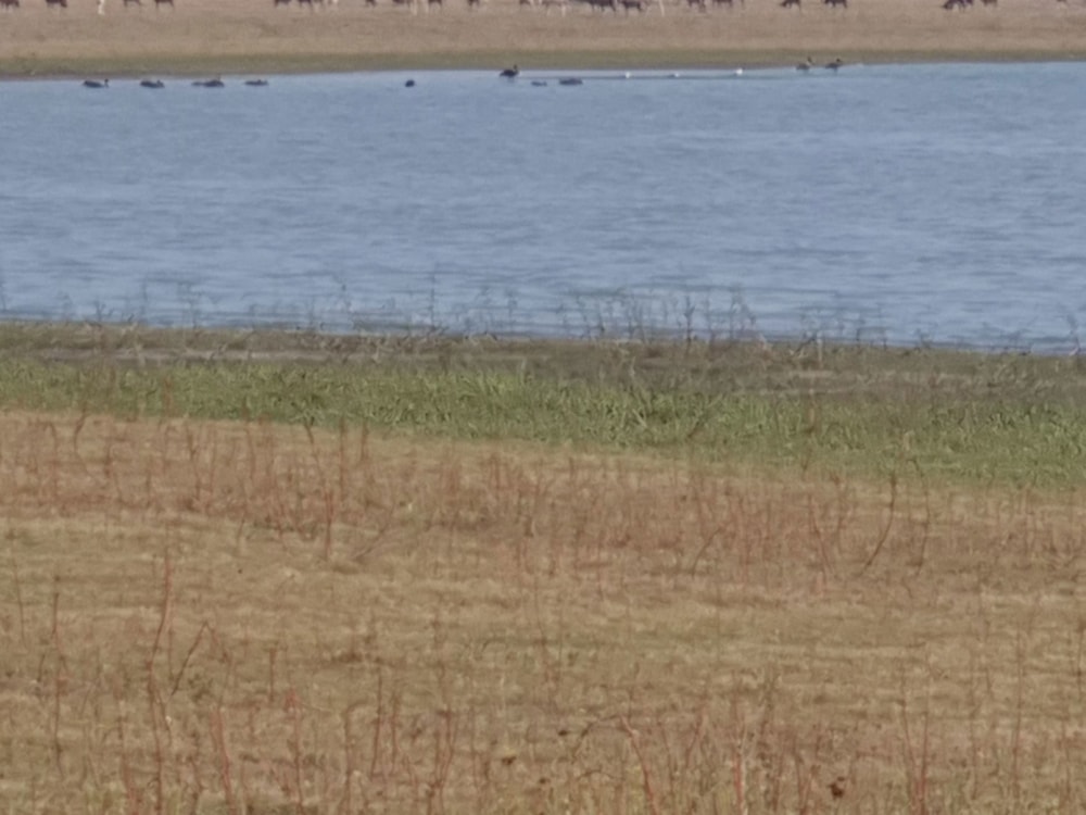 Farm vacant land sold in Vaal Dam, Free State - 1VT1648219 Farm vacant land sold in Vaal Dam, Free State - 1VT1648219