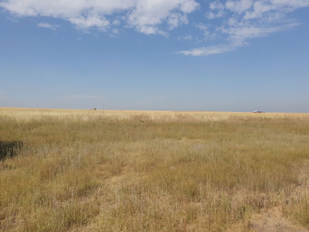 Farm vacant land sold in Vaal Dam, Free State - 1VT1648219 Farm vacant land sold in Vaal Dam, Free State - 1VT1648219