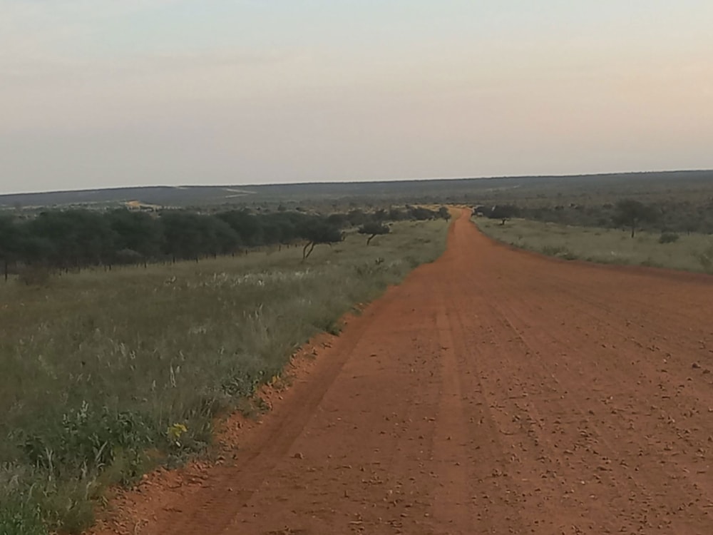 Game farm for sale in Gobabis, Omaheke, Namibia - 3NM1648605 Game farm for sale in Gobabis, Omaheke, Namibia - 3NM1648605