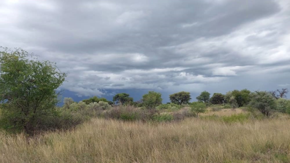 Game farm for sale in Gobabis, Omaheke, Namibia - 3NM1648605 Game farm for sale in Gobabis, Omaheke, Namibia - 3NM1648605