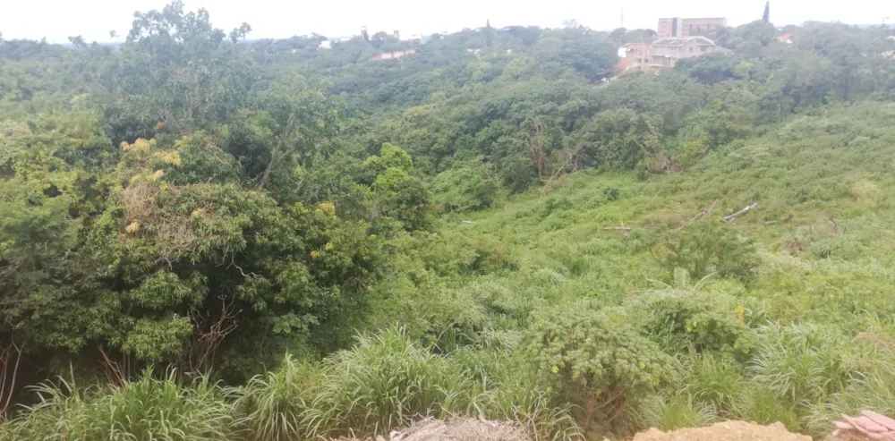 Vacant land for sale in Albersville - 1PSH1681383 Vacant land for sale in Albersville - 1PSH1681383