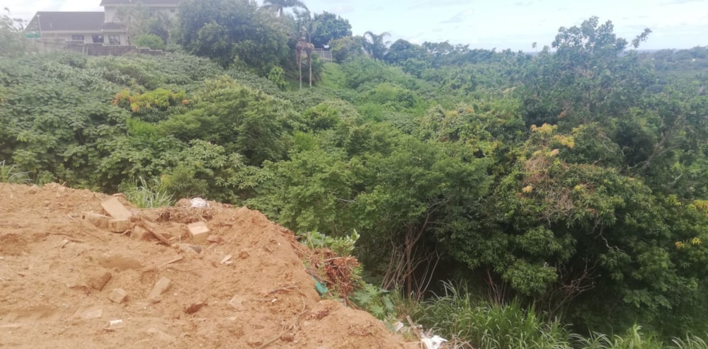 Vacant land for sale in Albersville - 1PSH1681383