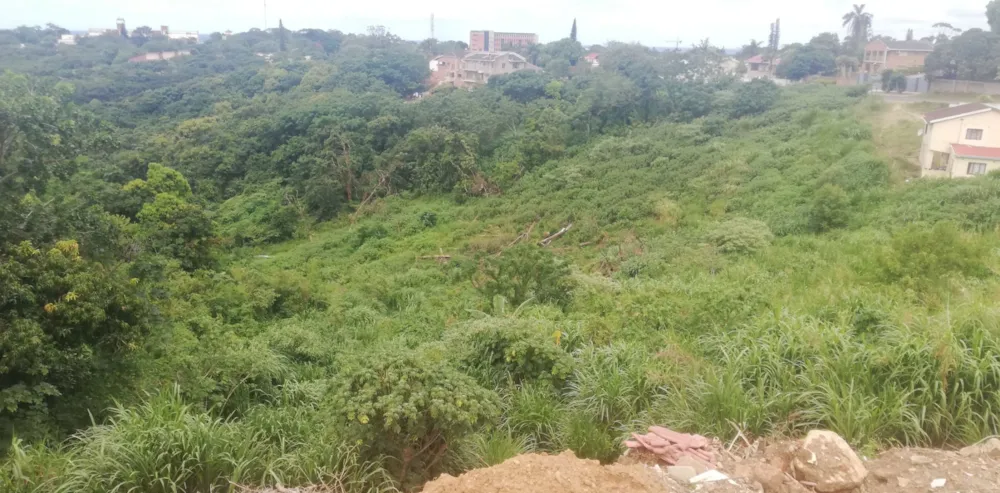 Vacant land for sale in Albersville - 1PSH1681383 Vacant land for sale in Albersville - 1PSH1681383