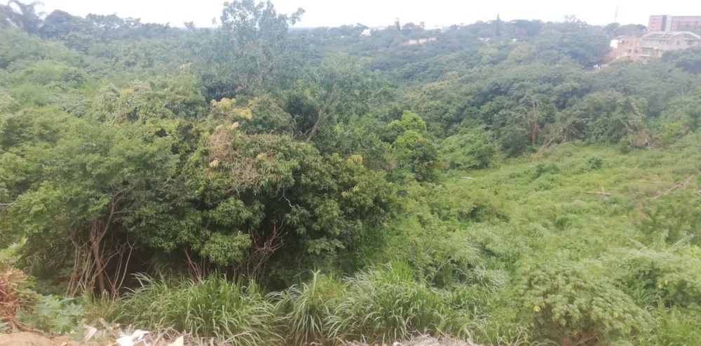 Vacant land for sale in Albersville - 1PSH1681383 Vacant land for sale in Albersville - 1PSH1681383