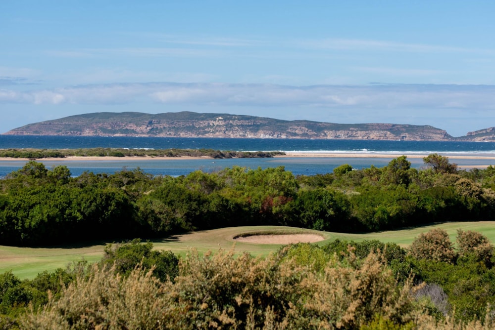 Apartment sold in Goose Valley - 1KG1648676 Apartment sold in Goose Valley - 1KG1648676