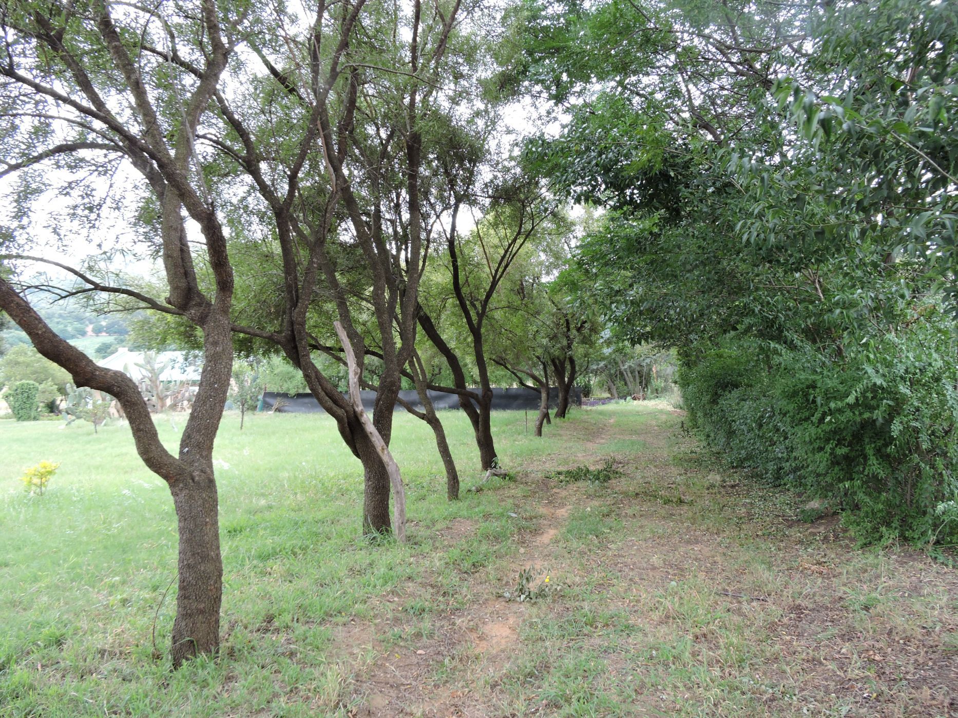 Mixed use farm for sale in Rustenburg - 1RU1648933