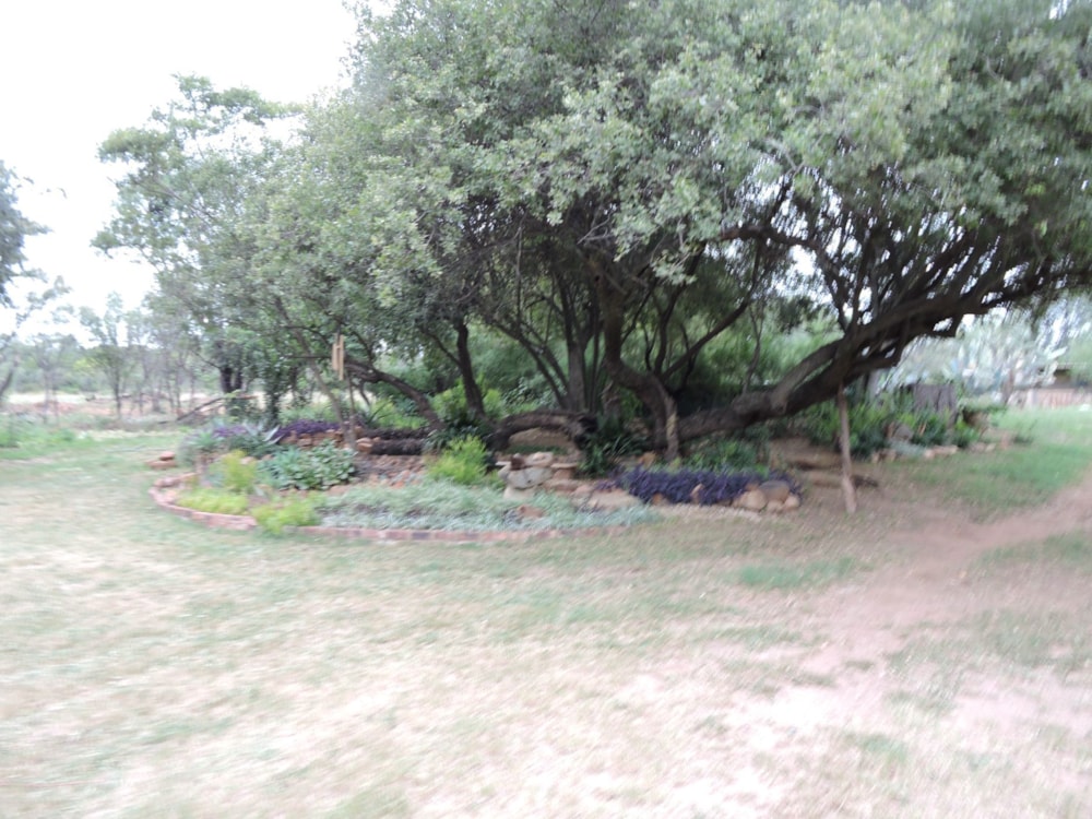 Mixed use farm for sale in Rustenburg - 1RU1648933