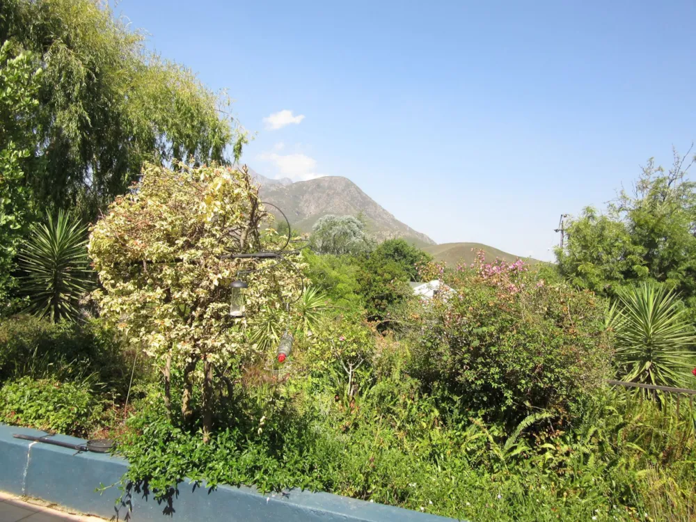Cottage sold in Greyton - 1SW1645636 Cottage sold in Greyton - 1SW1645636