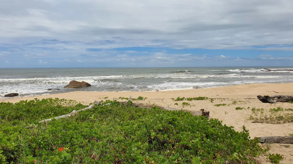 Beachfront villa for sale in Glenmore Beach - 1PD1644960
