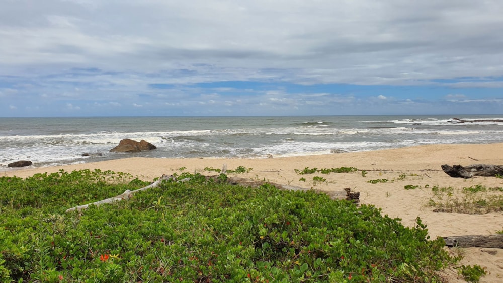 Beachfront villa for sale in Glenmore Beach - 1PD1644960 Beachfront villa for sale in Glenmore Beach - 1PD1644960