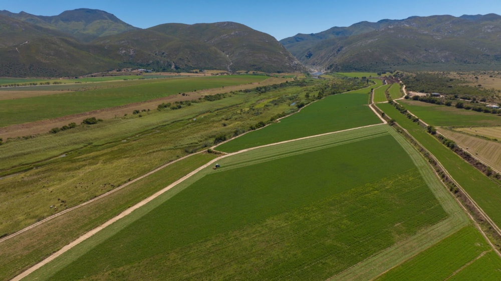 Mixed use farm for sale in Herbertsdale - GEO1647960