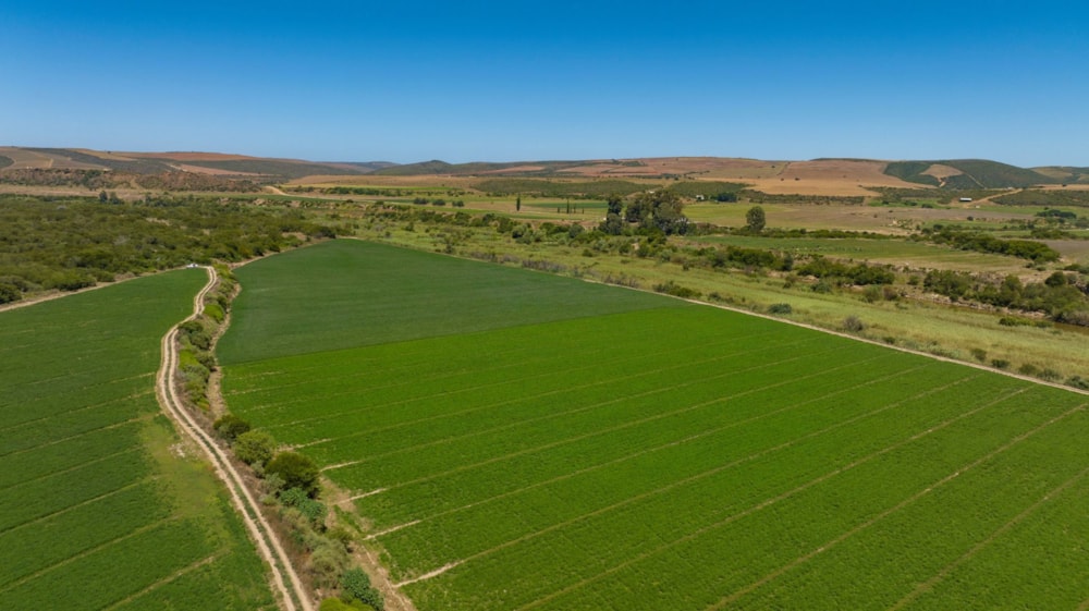 Mixed use farm for sale in Herbertsdale - GEO1647960