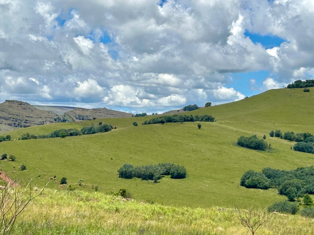 Vacant land sold in Highland Gate - 1DS1645136 Vacant land sold in Highland Gate - 1DS1645136