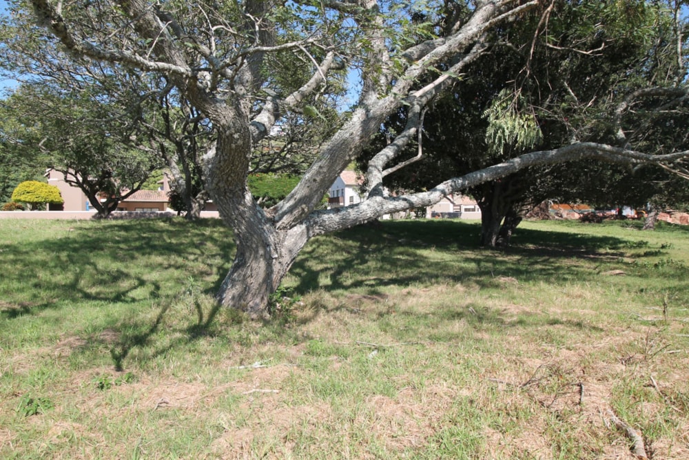 Residential vacant land for sale in River Side - 1PF1637339