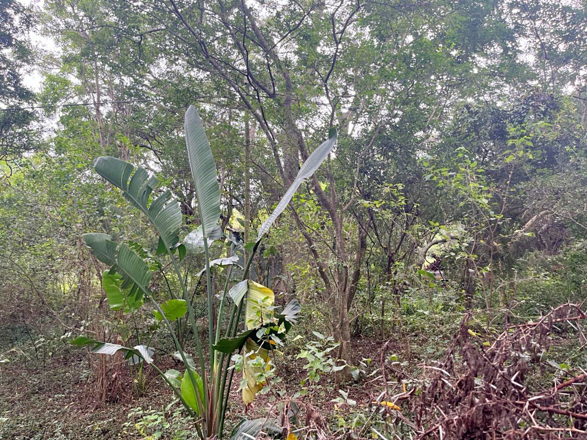 Residential vacant land for sale in Bathurst - 1PF1650439