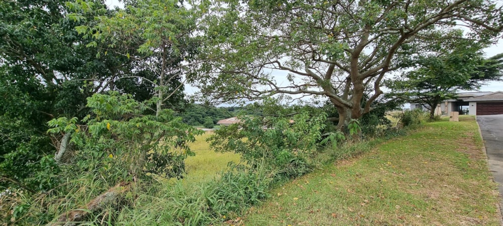 Residential vacant land for sale in Shelly Beach - 1PX1650975 Residential vacant land for sale in Shelly Beach - 1PX1650975