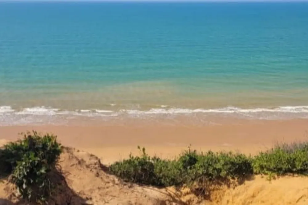 Vacant land for investment in Inhassoro, Mozambique - 3MQ1577474 Vacant land for investment in Inhassoro, Mozambique - 3MQ1577474