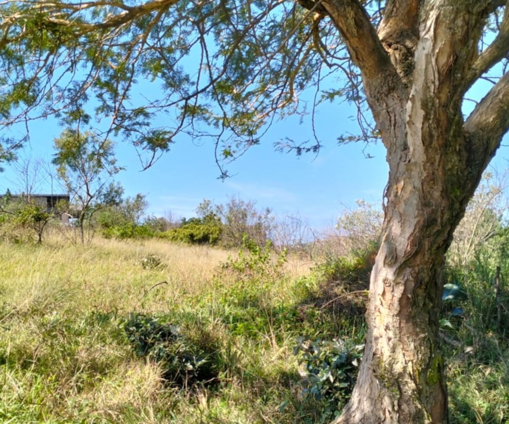 Residential vacant land for sale in Simbithi Eco Estate - 1BD1597862