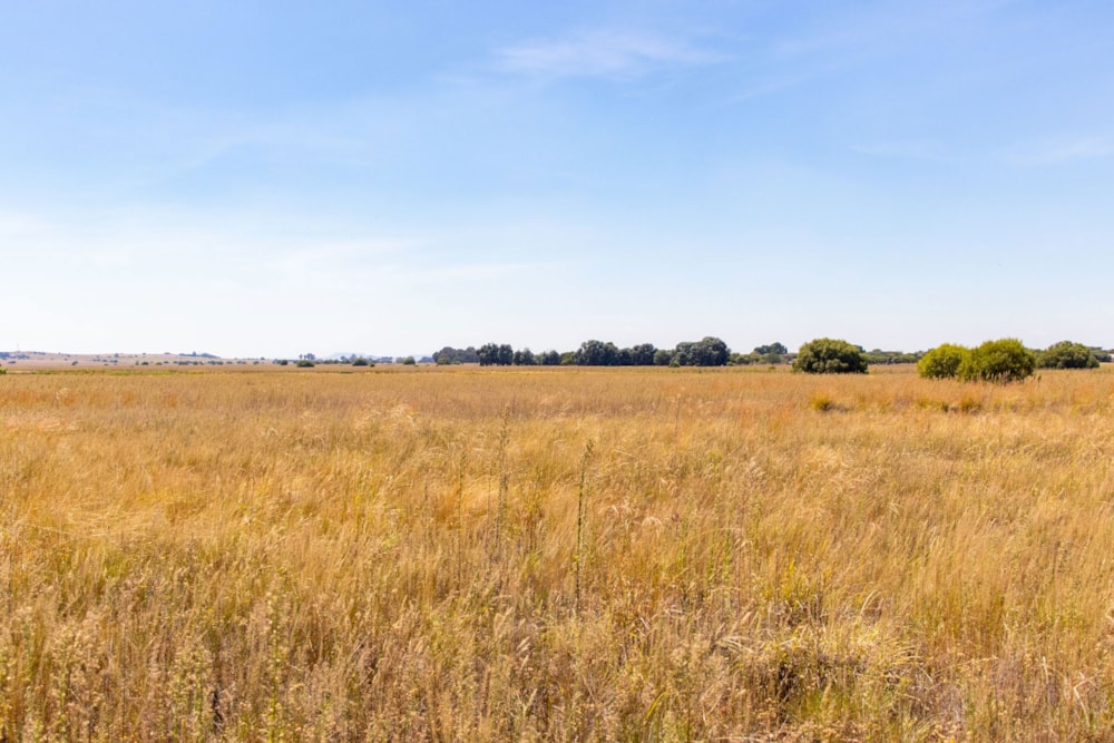 Farm vacant land sold in Groenvlei, Bloemfontein - 1BX1651594 Farm vacant land sold in Groenvlei, Bloemfontein - 1BX1651594