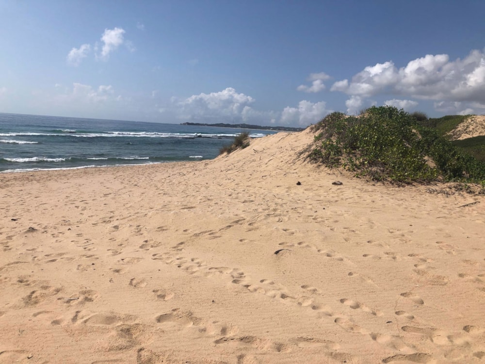 Vacant land for investment in Praia do Tofo, Mozambique - 3MQ1639045 Vacant land for investment in Praia do Tofo, Mozambique - 3MQ1639045