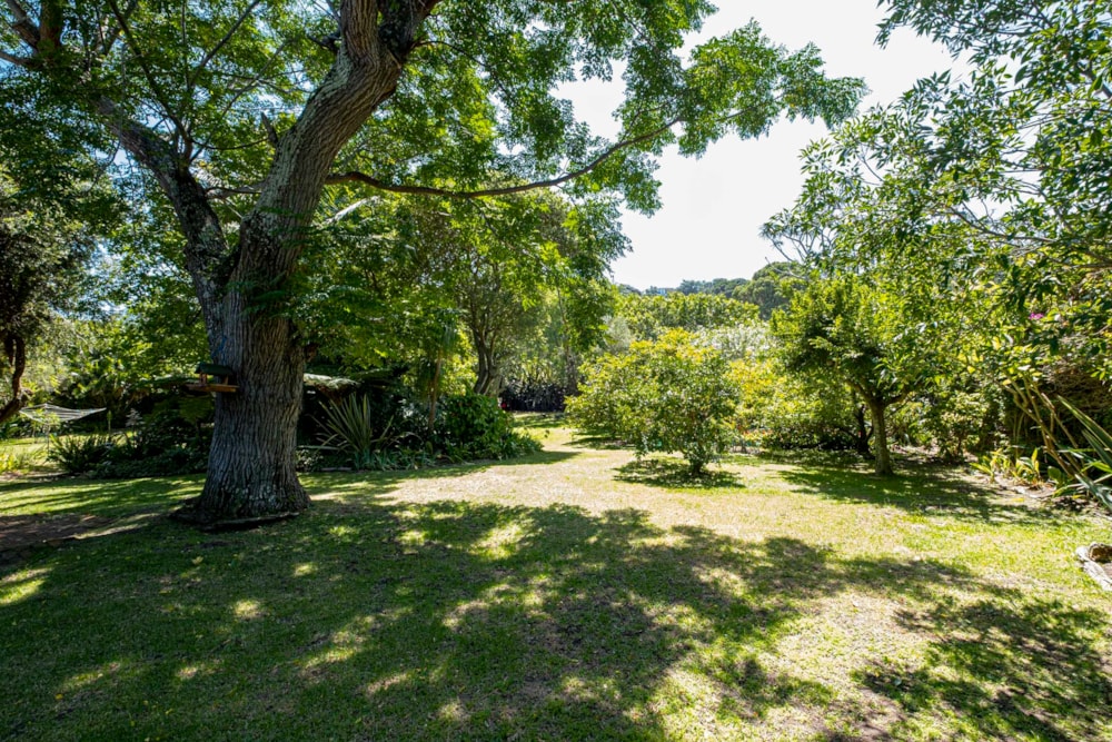 House sold in Mill Park - 1PLZ1649329