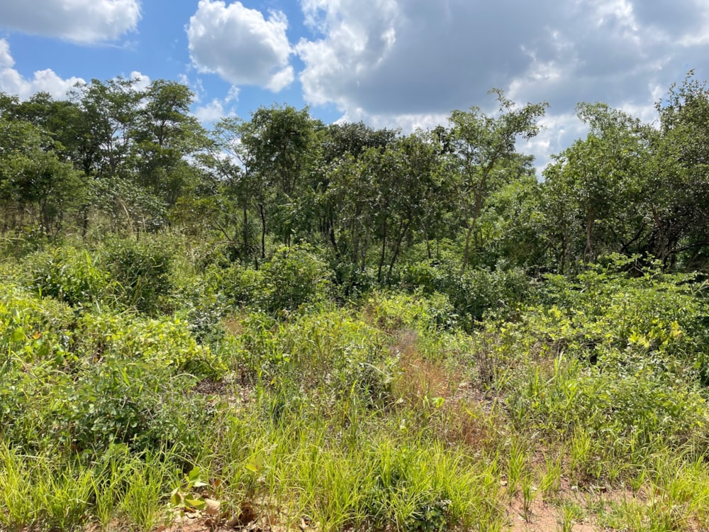 Vacant land for sale in Leopards Hill, Zambia - 3ZA1649287