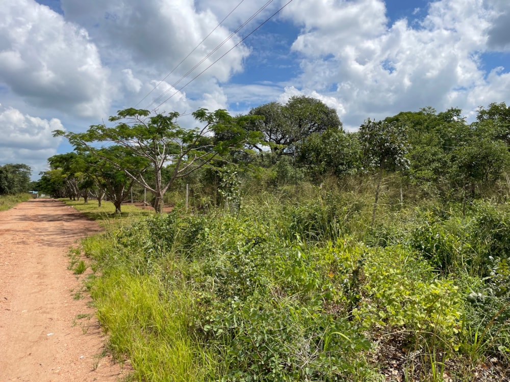 Vacant land for sale in Leopards Hill, Zambia - 3ZA1649287