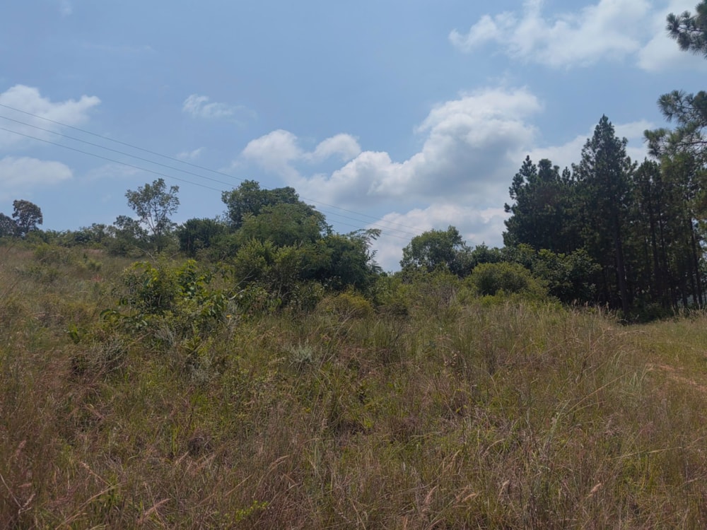 Residential vacant land for sale in Mbombela Rural (Nelspruit Rural) - 1NS1649664