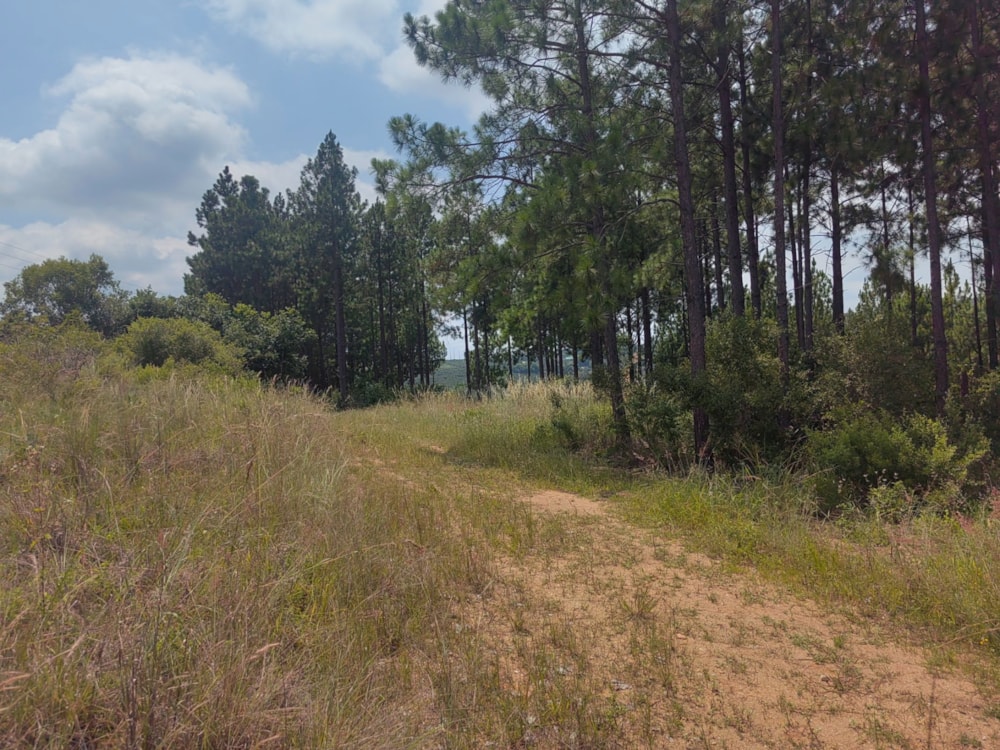 Residential vacant land for sale in Mbombela Rural (Nelspruit Rural) - 1NS1649664