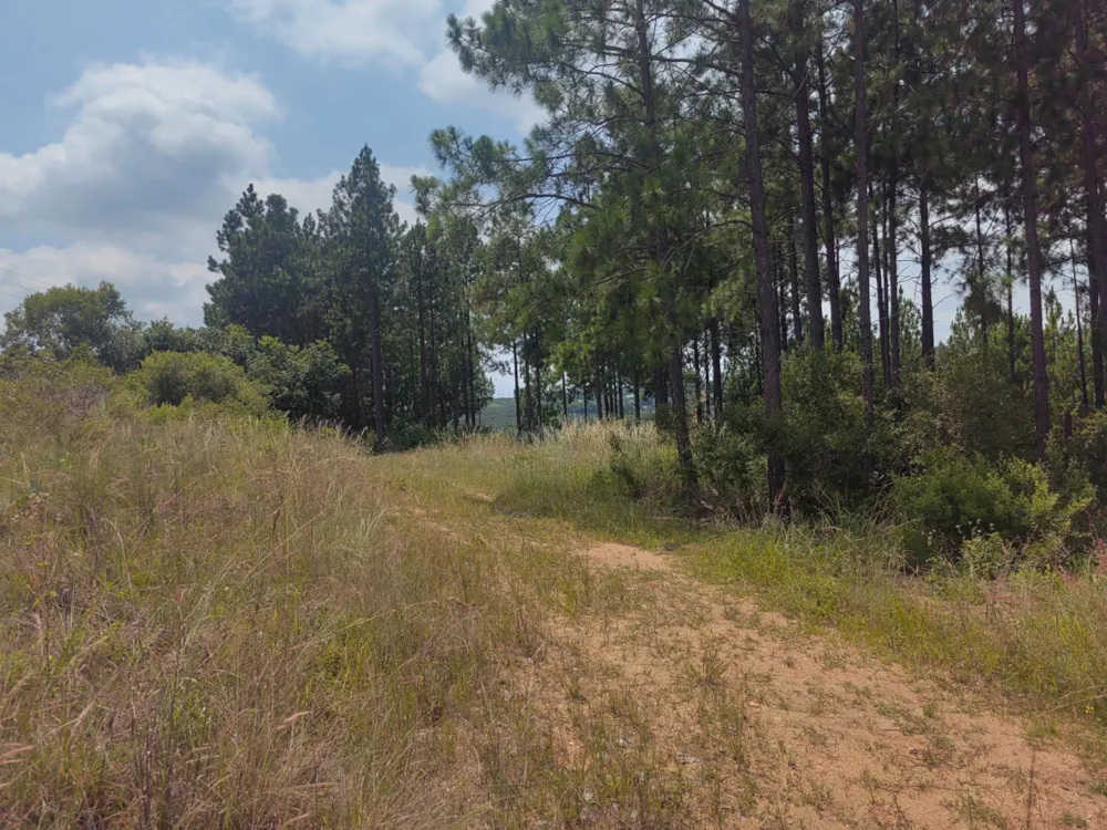 Residential vacant land sold in Mbombela Rural (Nelspruit Rural) - 1NS1649664 Residential vacant land sold in Mbombela Rural (Nelspruit Rural) - 1NS1649664
