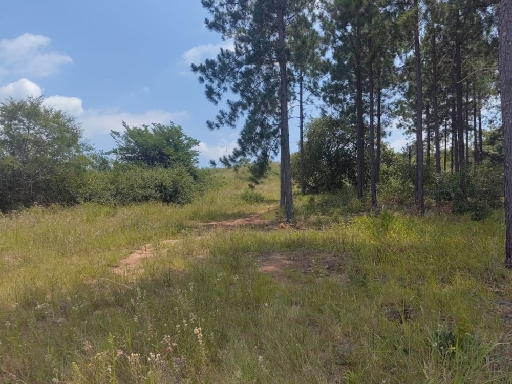 Residential vacant land for sale in Mbombela Rural (Nelspruit Rural) - 1NS1649664