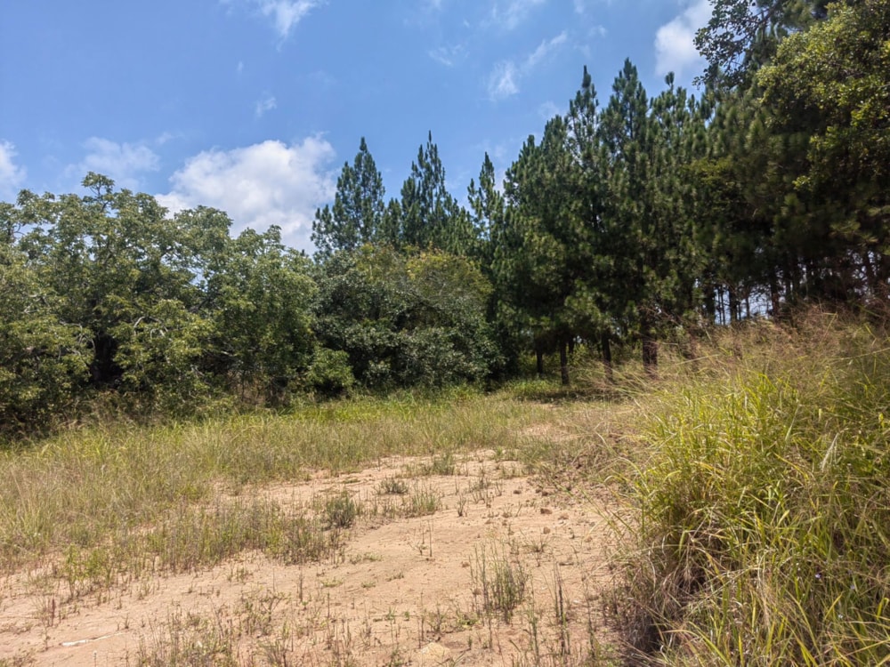 Residential vacant land for sale in Mbombela Rural (Nelspruit Rural) - 1NS1649664