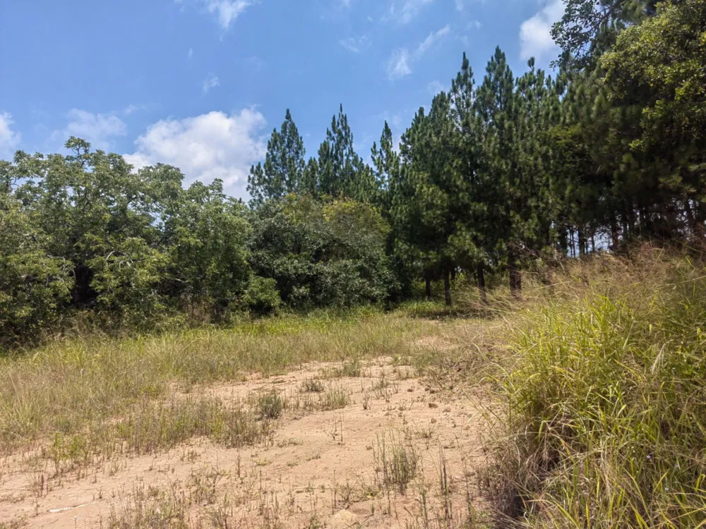 Residential vacant land sold in Mbombela Rural (Nelspruit Rural) - 1NS1649664 Residential vacant land sold in Mbombela Rural (Nelspruit Rural) - 1NS1649664