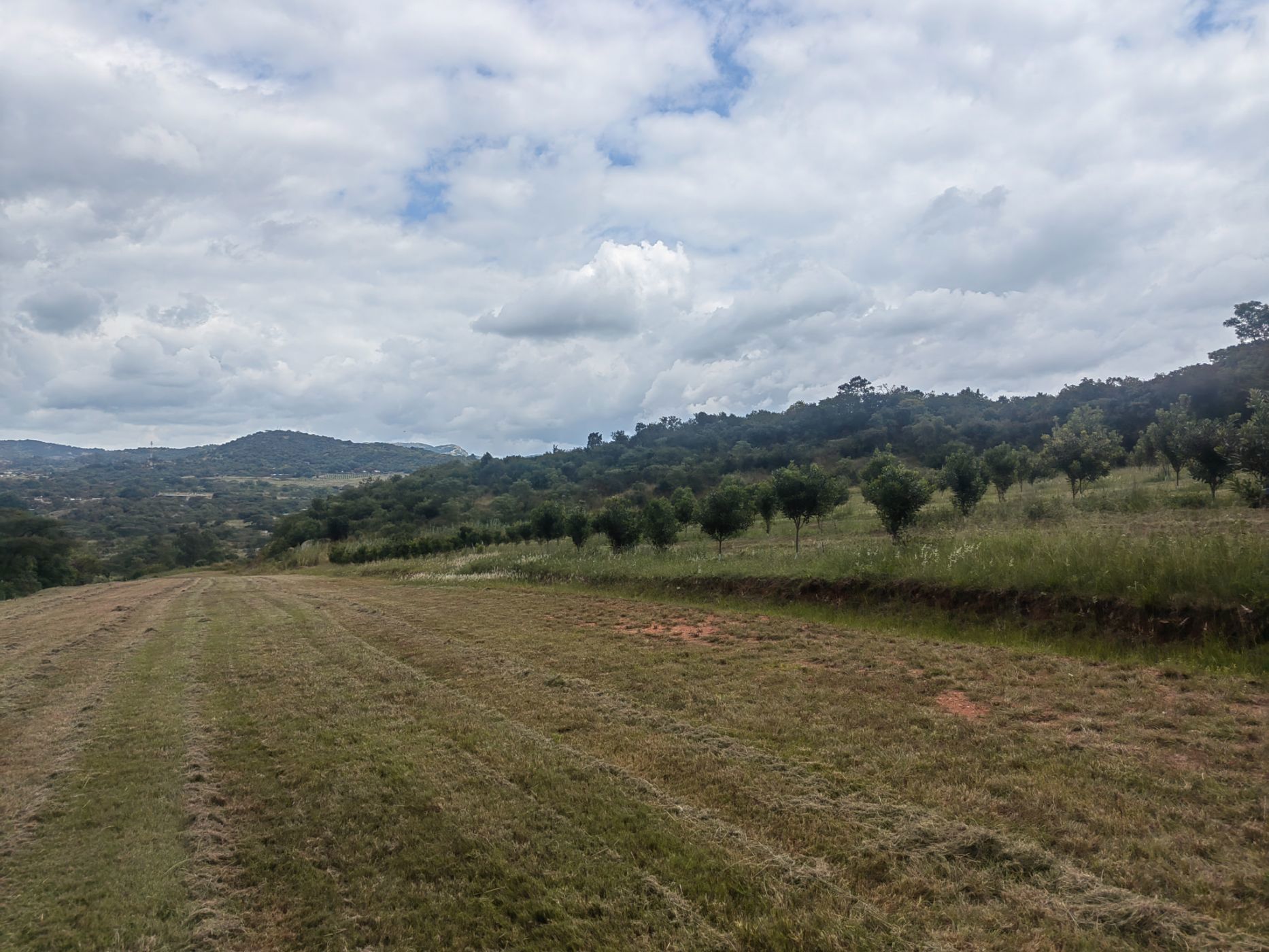 Vacant land for sale in Mbombela Rural (Nelspruit Rural) - 1NS1649676
