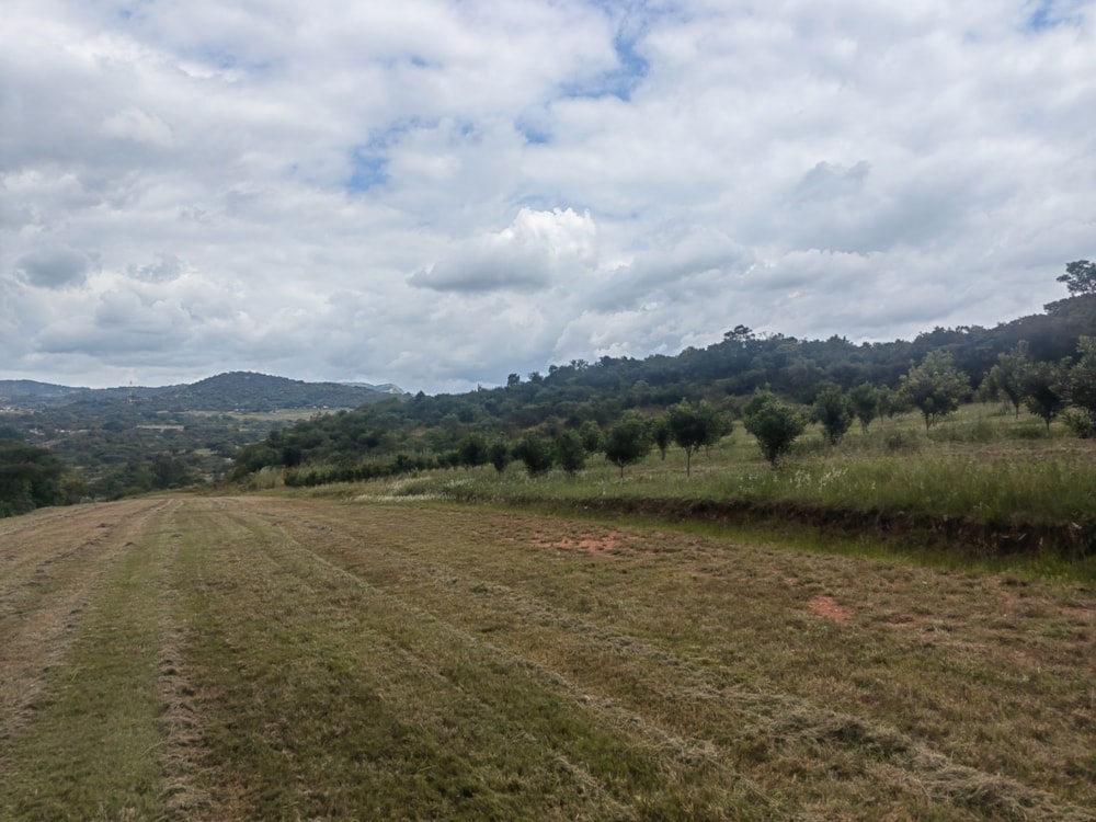 Vacant land for sale in Mbombela Rural (Nelspruit Rural) - 1NS1649676