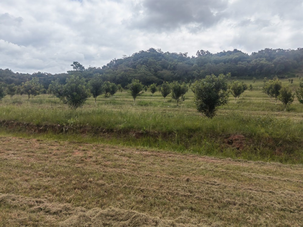 Vacant land for sale in Mbombela Rural (Nelspruit Rural) - 1NS1649676