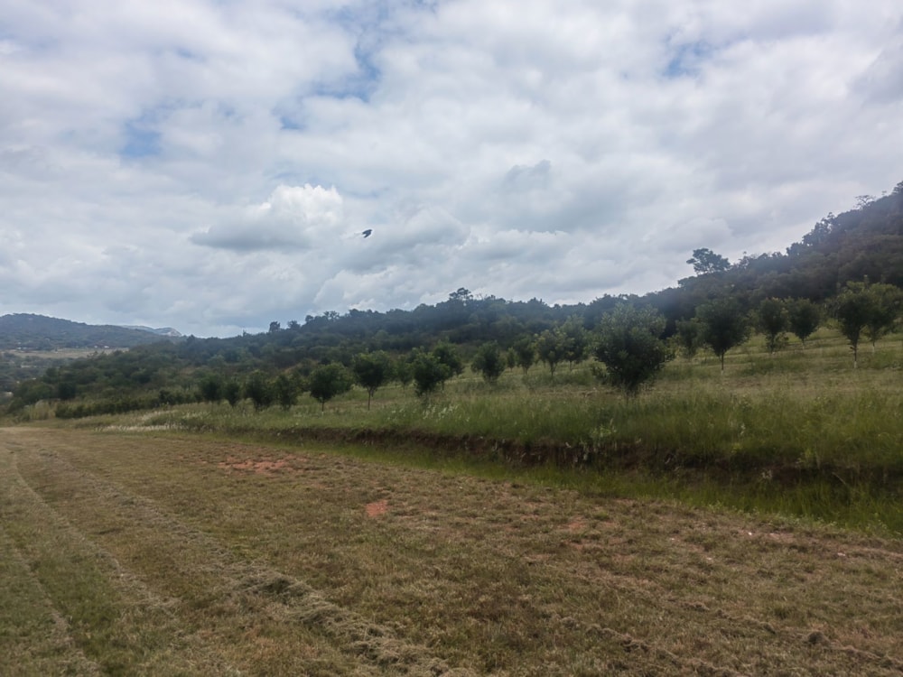 Vacant land for sale in Mbombela Rural (Nelspruit Rural) - 1NS1649676