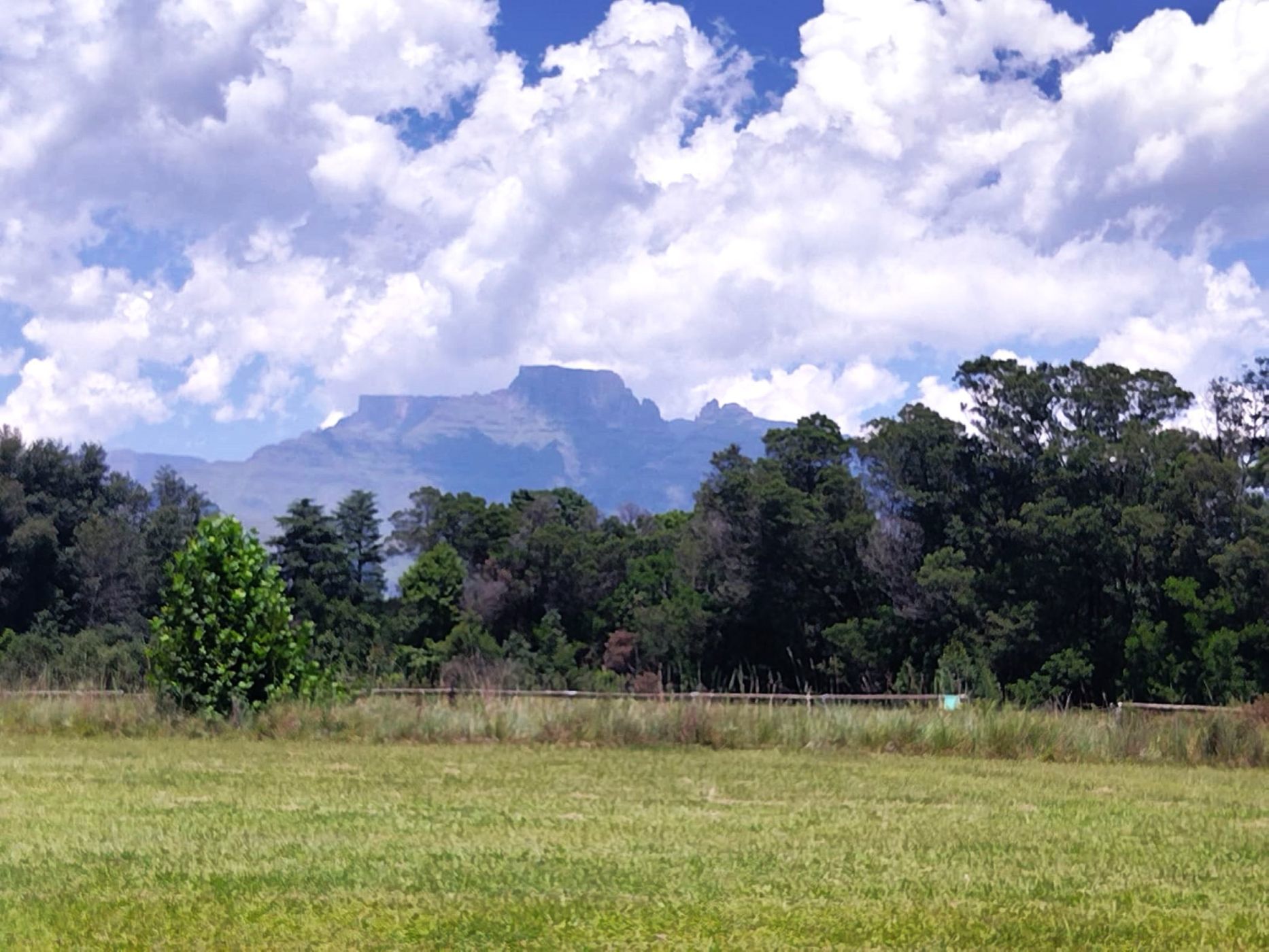 House for sale in Cathkin Park - 1PM1649790