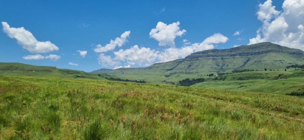 Residential vacant land for sale in Cathkin Park - 1PM1649794