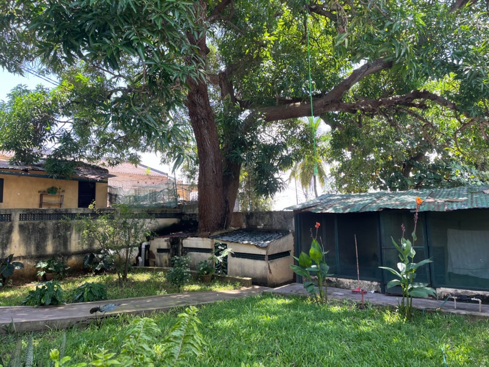 House for sale in Pemba, Cabo Delgado, Mozambique - 3MQ1649866