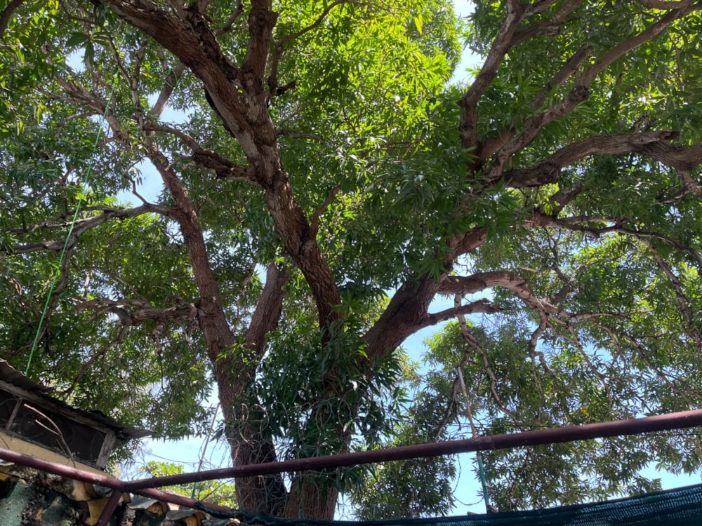 House for sale in Pemba, Cabo Delgado, Mozambique - 3MQ1649866